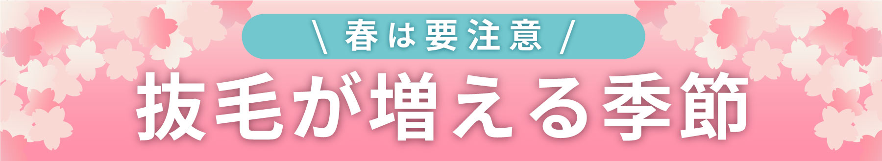 春は要注意!抜け毛が増える季節