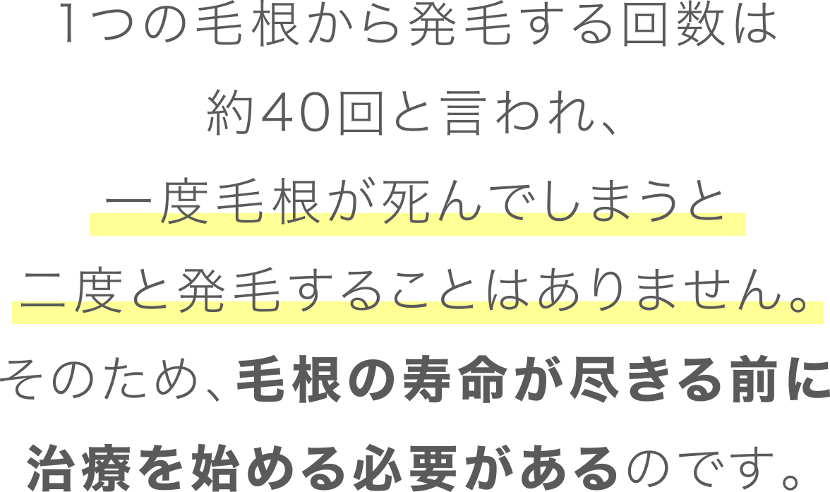 1つの毛根から発毛する回数は約40回と言われ、一度毛根が死んでしまうと二度と発毛することはありません。そのため、毛根の寿命が尽きる前に治療を始める必要があるのです。