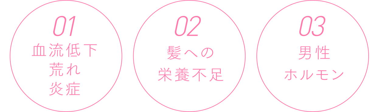 01.血流低下・荒れ・炎症 02.髪への栄養不足 03.男性ホルモン