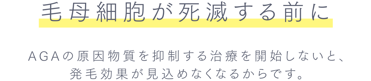 毛母細胞が死滅する前に
