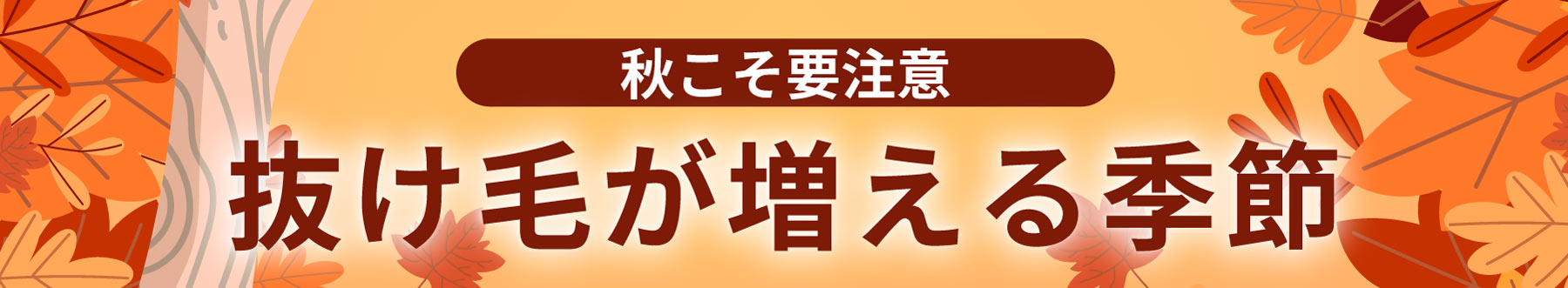 秋こそ要注意　夏は抜け毛の季節