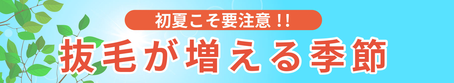 夏までに始めたい　暑さ本番前の薄毛対策