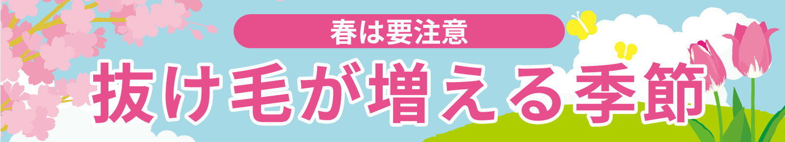 春は要注意　抜け毛が増える季節