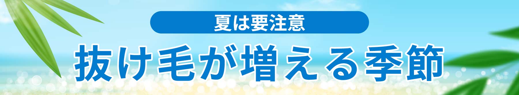 夏は要注意!抜け毛が増える季節