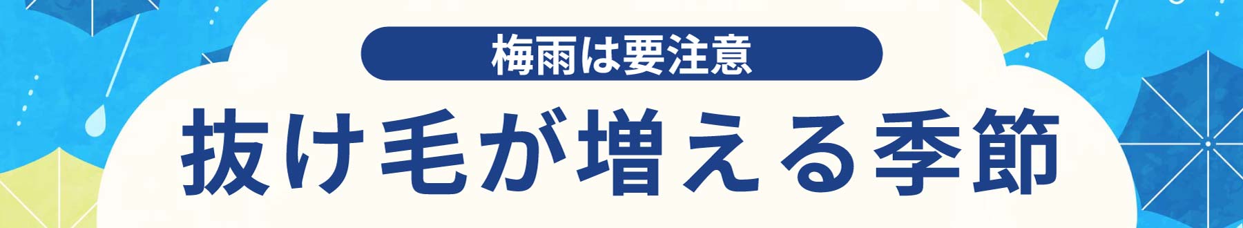 梅雨は要注意!抜け毛が増える季節