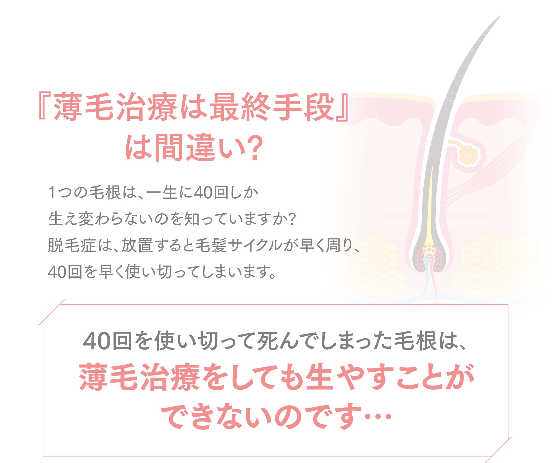 40回を使い切って死んでしまった毛根は、薄毛治療をしても生やすことができないのです…