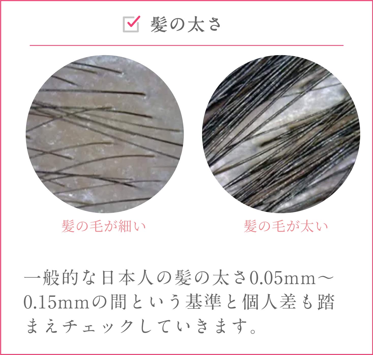 髪の太さ