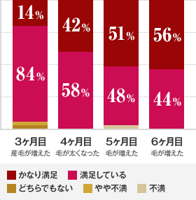 グラフイメージ