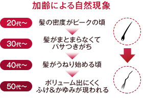 加齢による自然現象イメージ